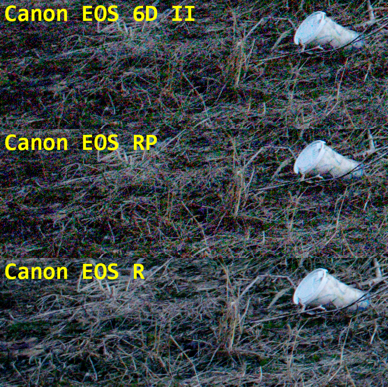 Kleuterschool Overtekenen Versnipperd Dynamic range: Canon 6D II vs RP vs R